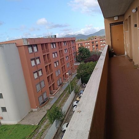 La Casina Accogliente Apartment Pisa Exterior foto